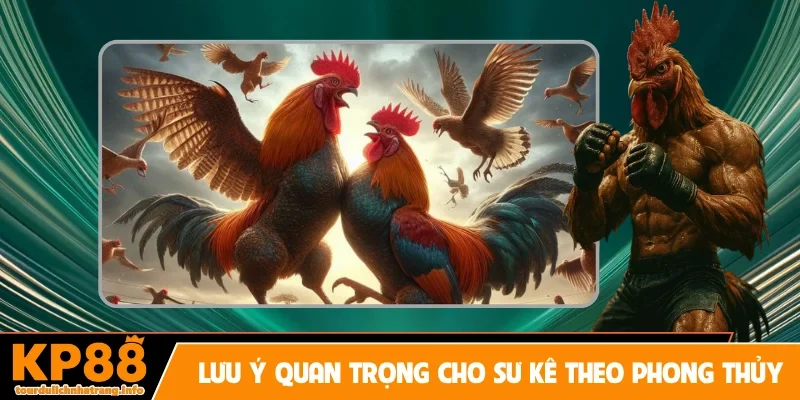 Lưu ý quan trọng cho sư kê theo phong thủy