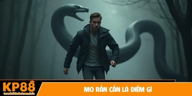 Mơ rắn cắn là điềm gì